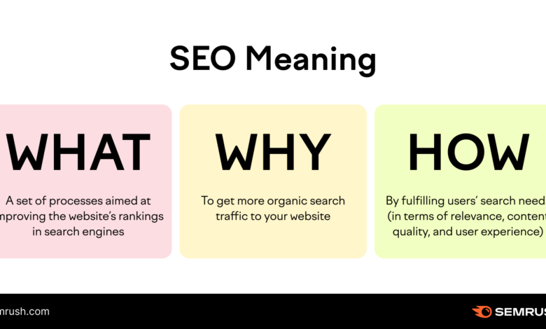 What is an Seo